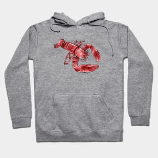 Crawfish .Watercolor illustration Hoodie